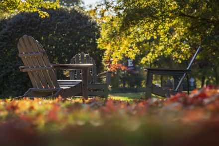 Two Adirondack chairs surrounded by colorful autumn leaves on Elon University's campus, with sunlight filtering through trees in the background.