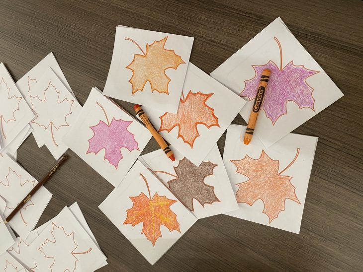 Cards with leaves sit on table