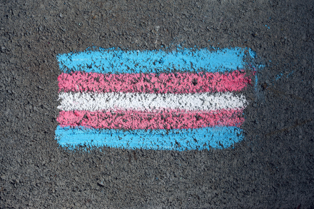 A chalk rendering of the trans flag on asphalt