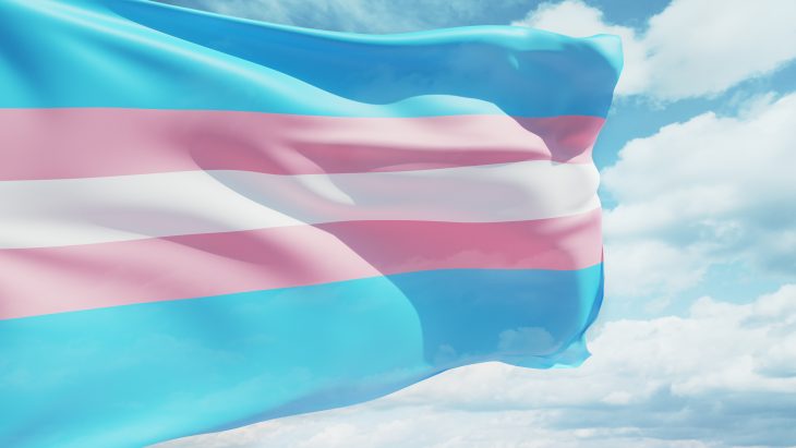 Transgender flag waving in the wind against a cloudy sky.