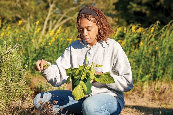 A female student picks plans/leaves at Elon University's Loy Farm