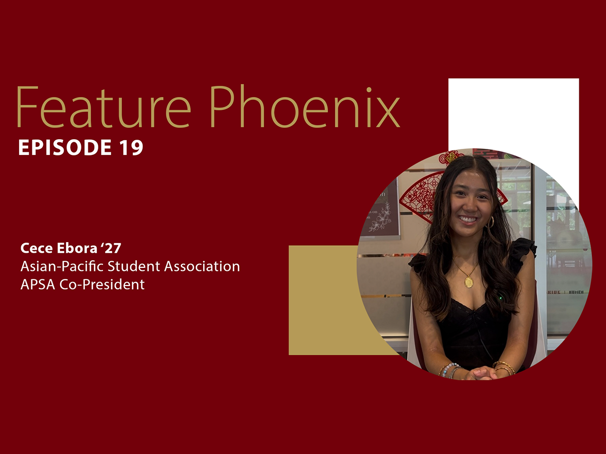 This image appears to be a promotional graphic for a video or article series called 