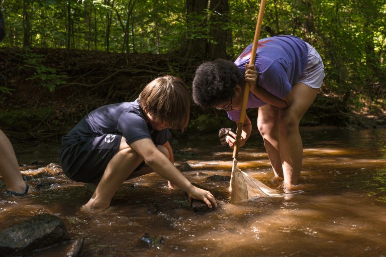 Two kids explore a creek, using nets and lifting rocks while wading through shallow water.