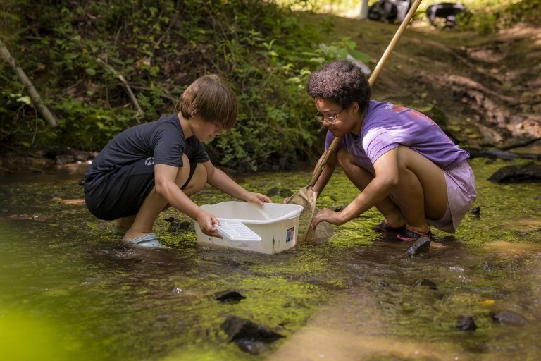Two kids crouch in a creek, working together to collect water samples in a white bin.