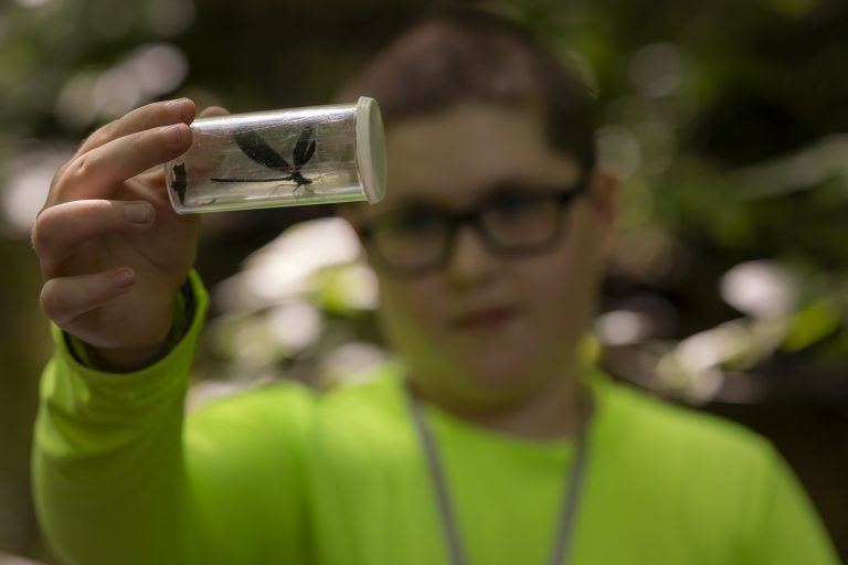 A child holds up a clear container displaying a captured dragonfly, focusing on the insect.