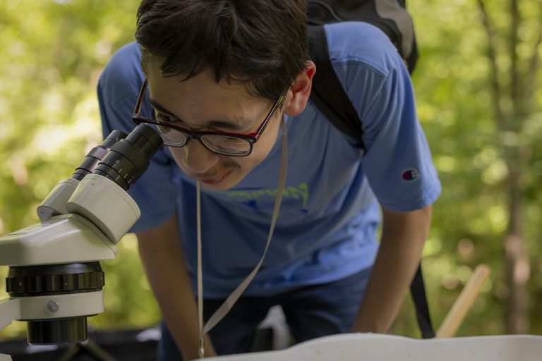 A boy leans over a microscope, closely examining a sample outdoors.
