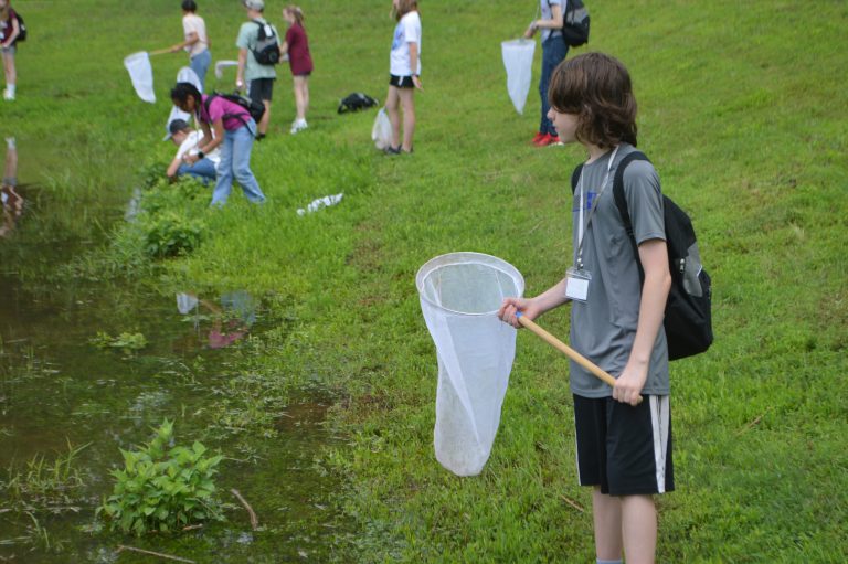 A young boy with a net stands by a pond