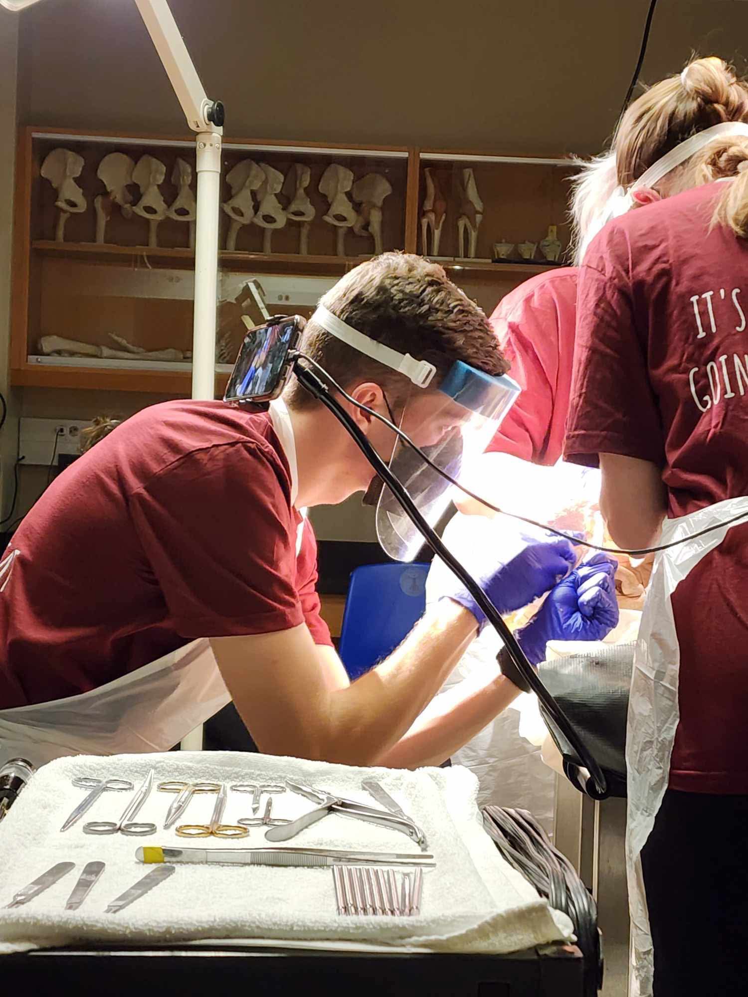A student wearing a face shield and gloves performs a dissection in a lab setting, surrounded by surgical instruments laid out on a tray and assisted by others in matching maroon shirts.
