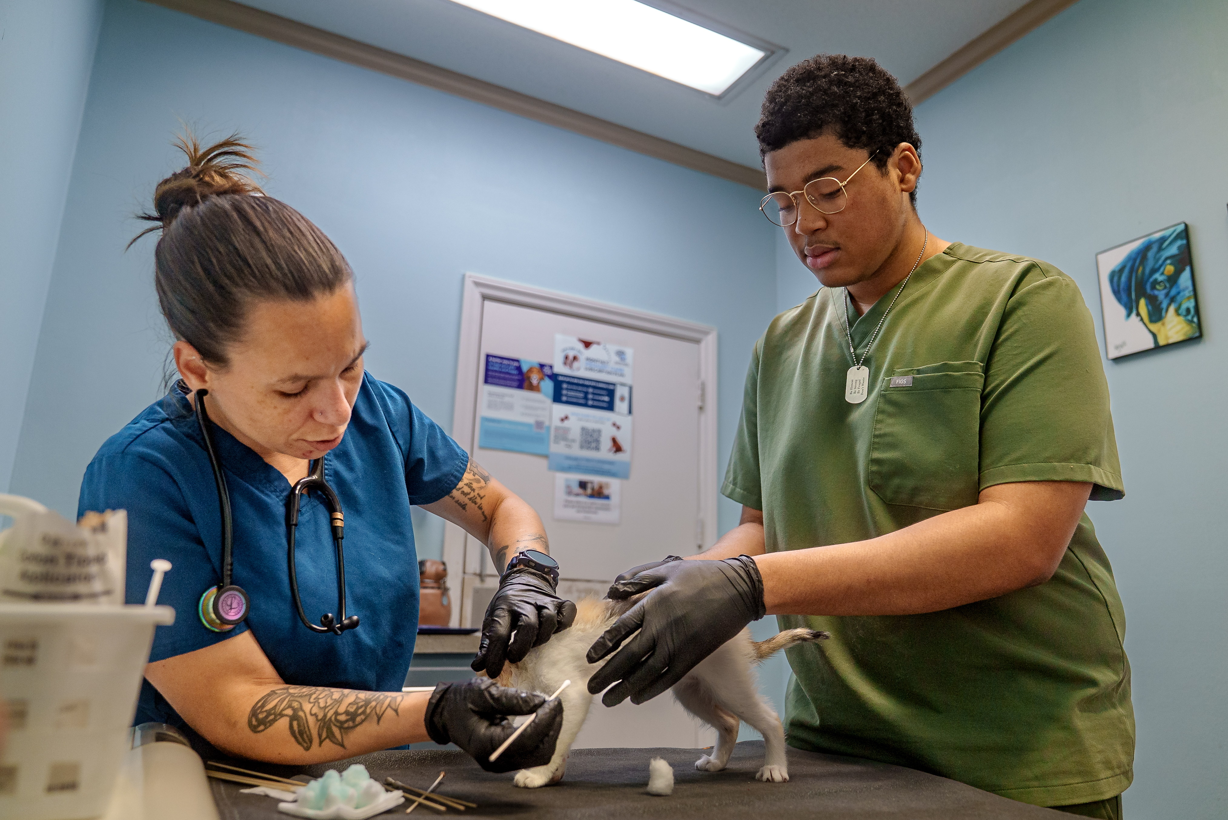 A veterinary professional and a student in scrubs care for a small puppy during a hands-on lesson in a brightly lit exam room.