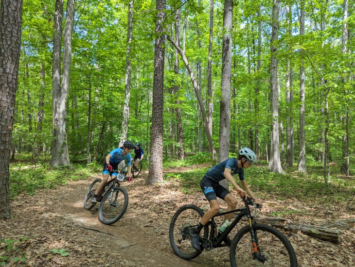 Cyclists wearing helmets ride mountain bikes along a wooded trail surrounded by tall green trees.