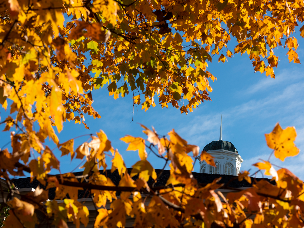 Bright yellow and orange autumn leaves frame the image, creating a natural border around the top and sides. Through the leaves, the white cupola and spire of an Elon University building are visible against a clear blue sky.