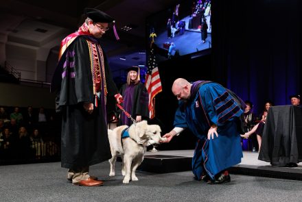 A dean puts a rolled diploma in a service dog's mouth while a new law school graduate looks on smiling.