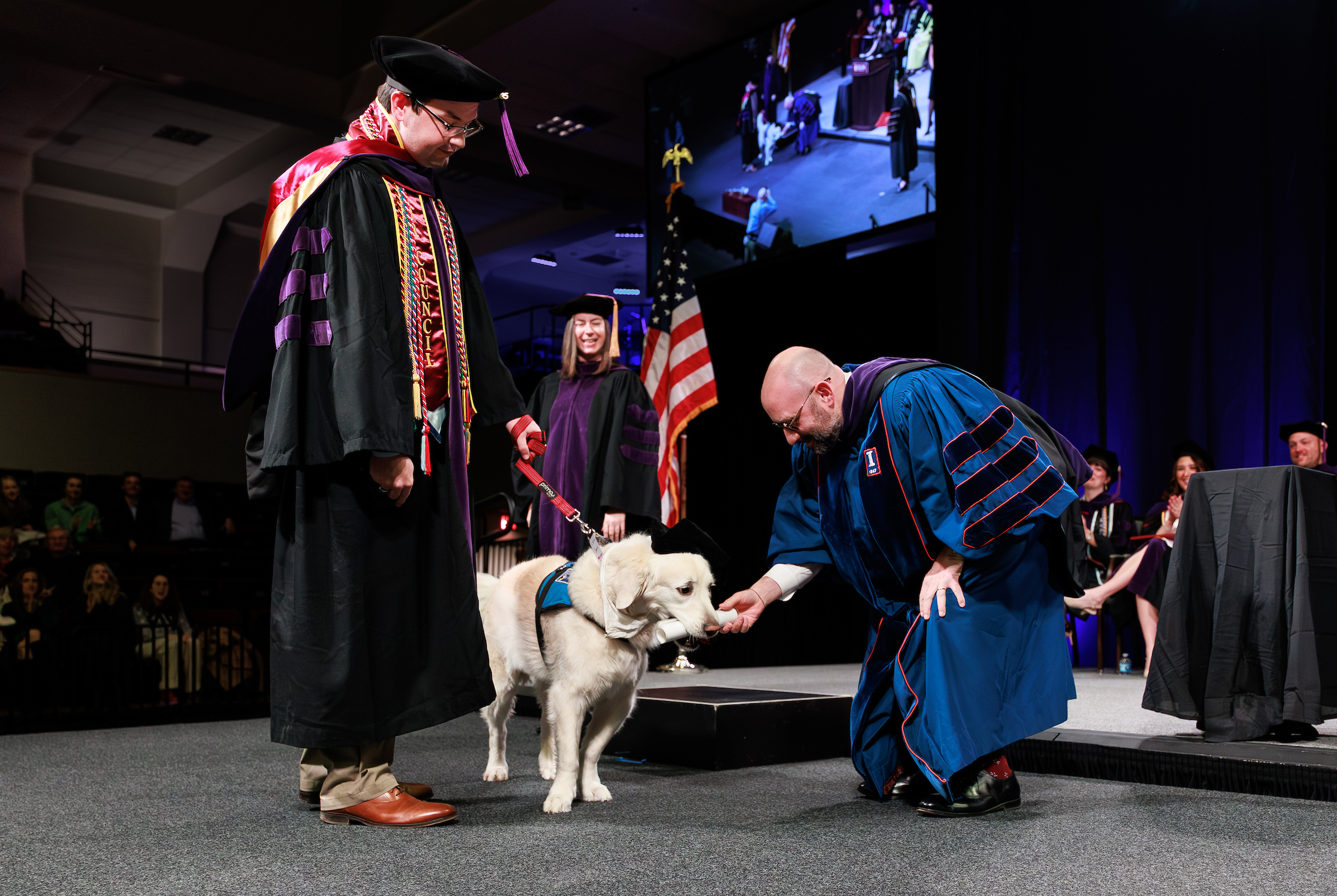 A dean puts a rolled diploma in a service dog's mouth while a new law school graduate looks on smiling.