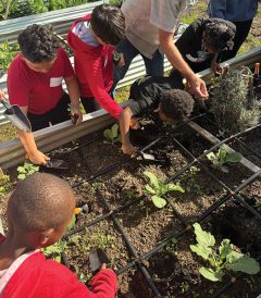 Children use hand tools to plant vegetables in a raised bed as part of a gardening activity.