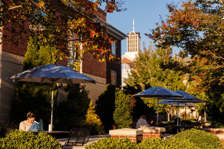 The Global Neighborhood at Elon University