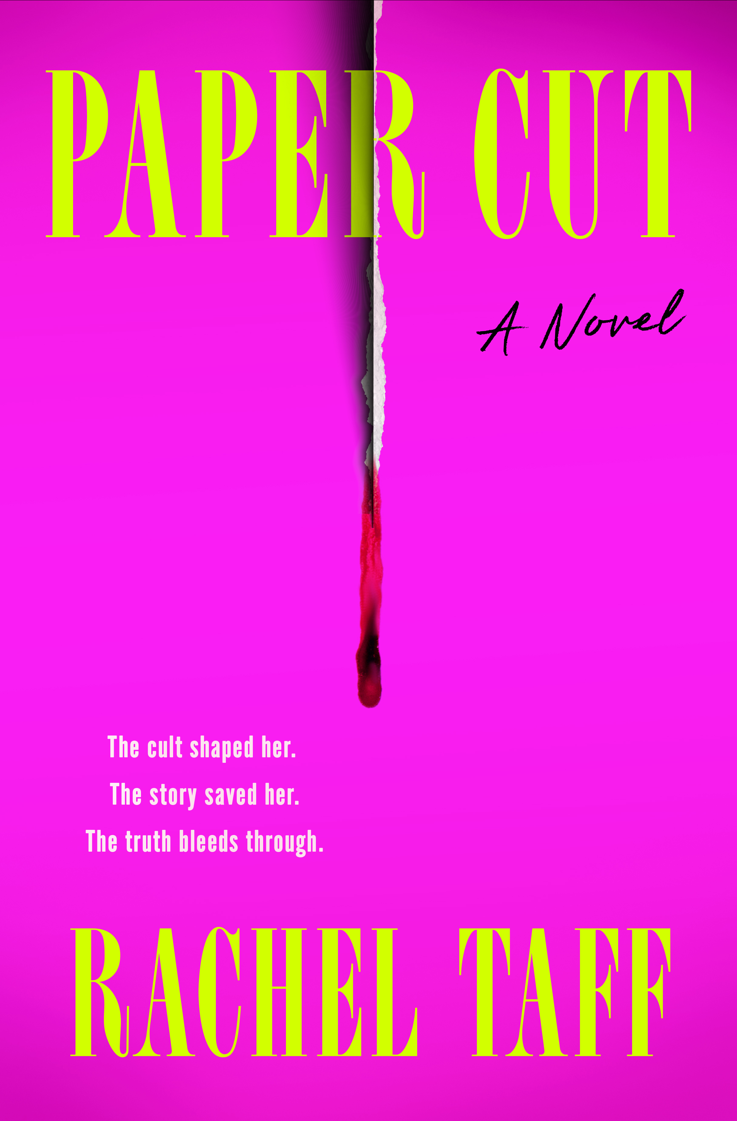 Cover of Paper Cut by Rachel Taff