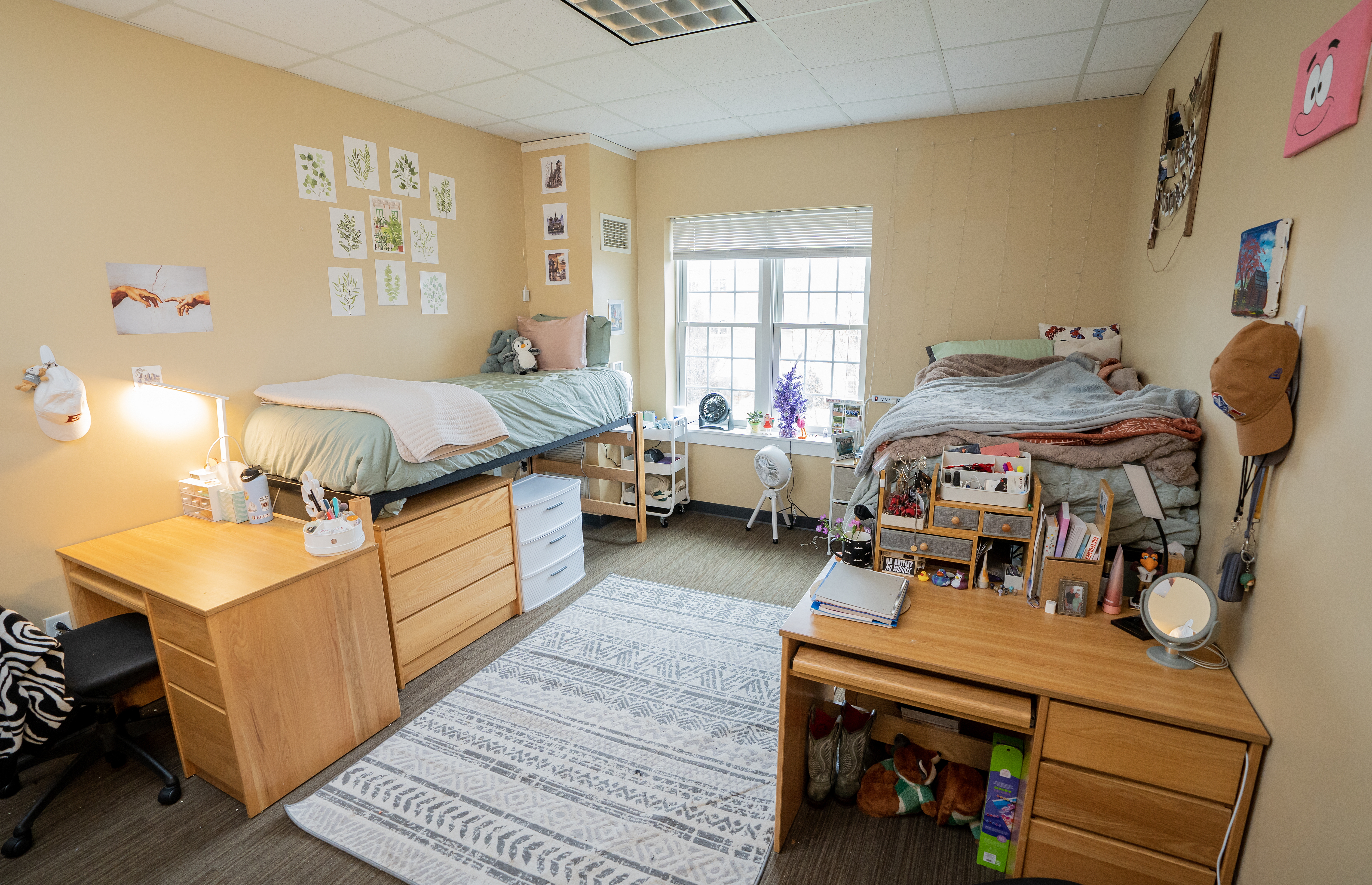 A bright double dorm room with two lofted beds, desks, and personal decor, including plants, wall art, and a shared window between the beds.