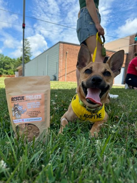 A small dog wearing a yellow bandana reading “Adopt Me” lies on the grass with its tongue out beside a bag of rescue dog treats. A person holds the leash as the dog looks happily toward the camera.