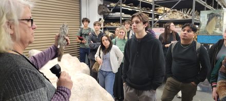 Students looking at a taxidermy animal at the North Carolina Museum of Natural Sciences.