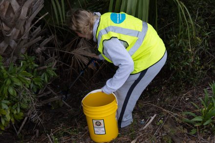 Betsy Knapp '28 in a reflective vest uses a grabber tool to collect trash from dense vegetation, placing it into a yellow bucket during a community cleanup effort.