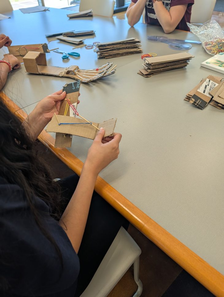 Student making a model of the arm with muscles and ligaments