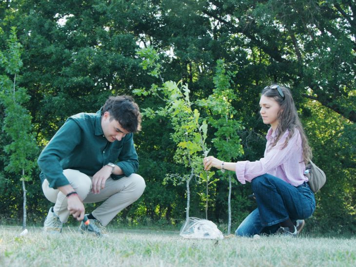 An international student plans their oak sapling in the International Student Tree Grove on May 21, 2026.