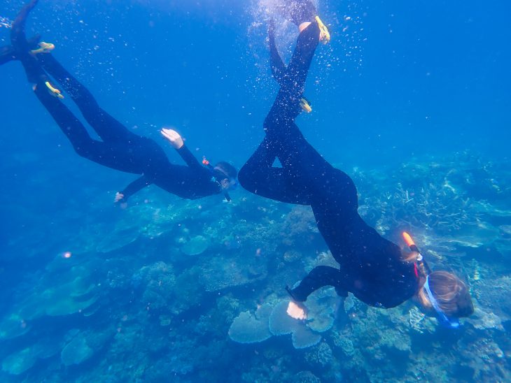 Several students wearing snorkel gear swim underwater above coral in clear blue water.