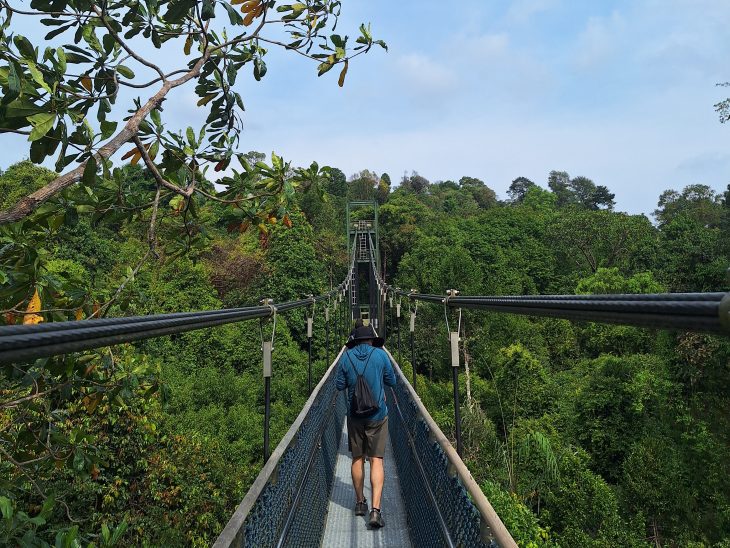 A person walks across a narrow suspension bridge surrounded by dense green forest during the Business Fellows’ Asia Pacific semester experience.
