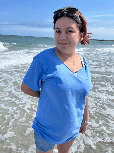 Person standing at the ocean's edge with waves behind them on a sunny day.