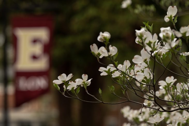 A redbud tree in bloom on the campus of Elon University, March 31, 2023.