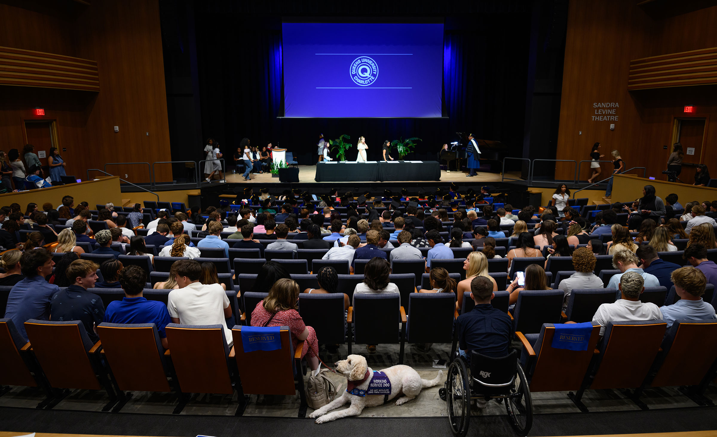 A photo taken from the back dark auditorium shows the backs of students' heads infront of a blue screen with the Queens University logo on it.