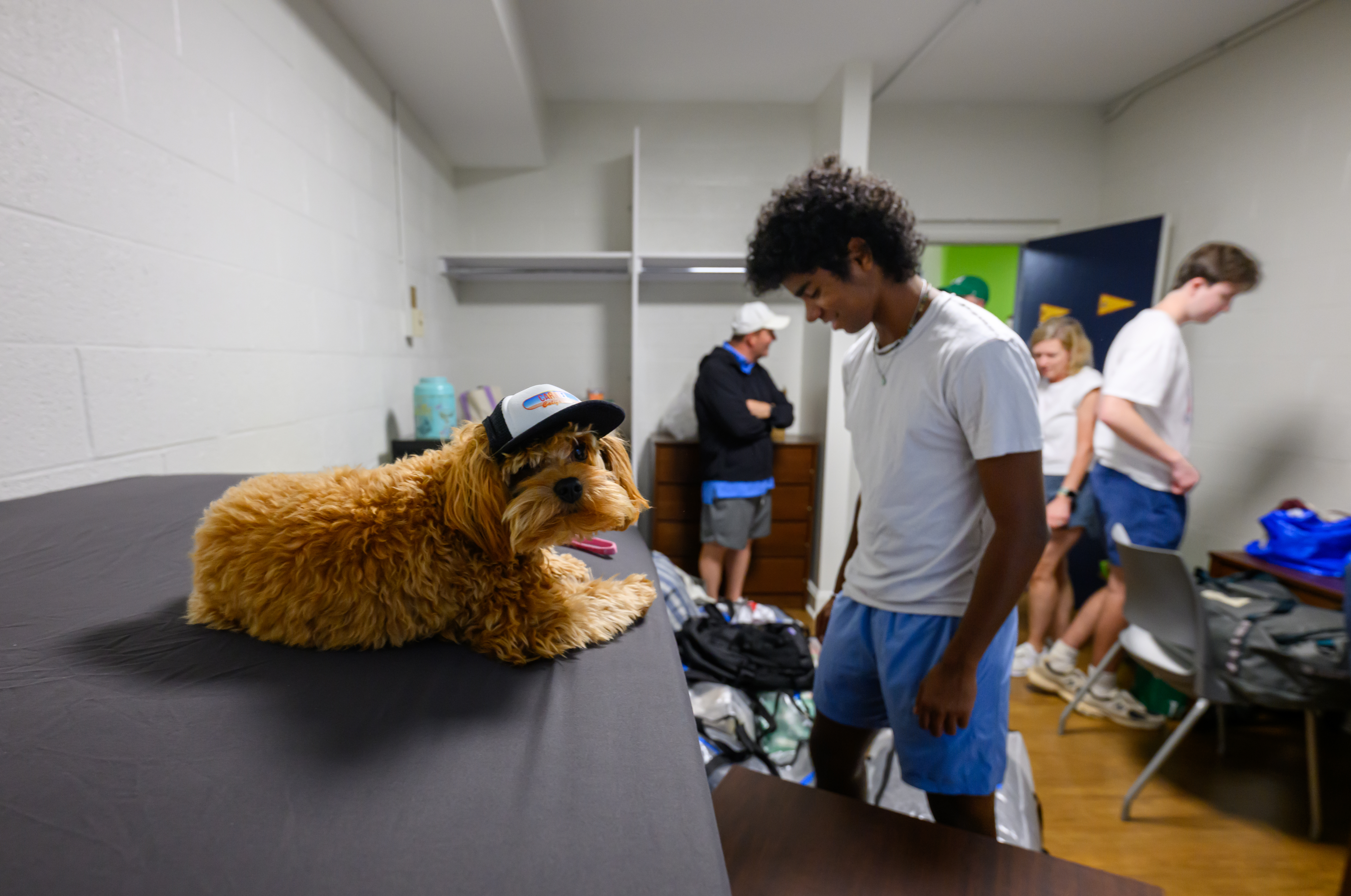 A small dog wearing a baseball cap rests on a dorm room bed as a student unpacks during Move-In Day.