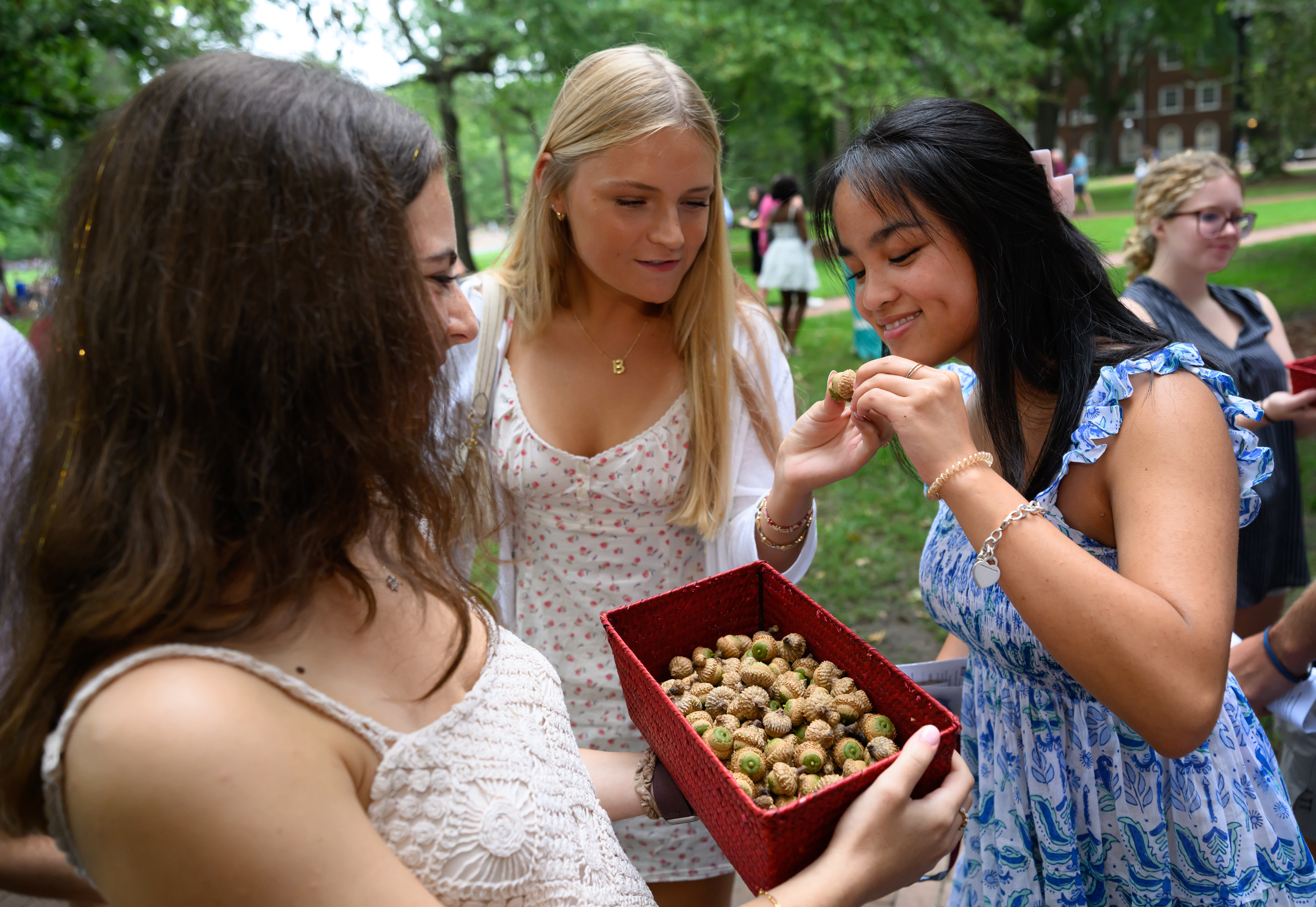 Three students examine and hold acorns gathered in a red basket following New Student Convocation on Elon’s campus.