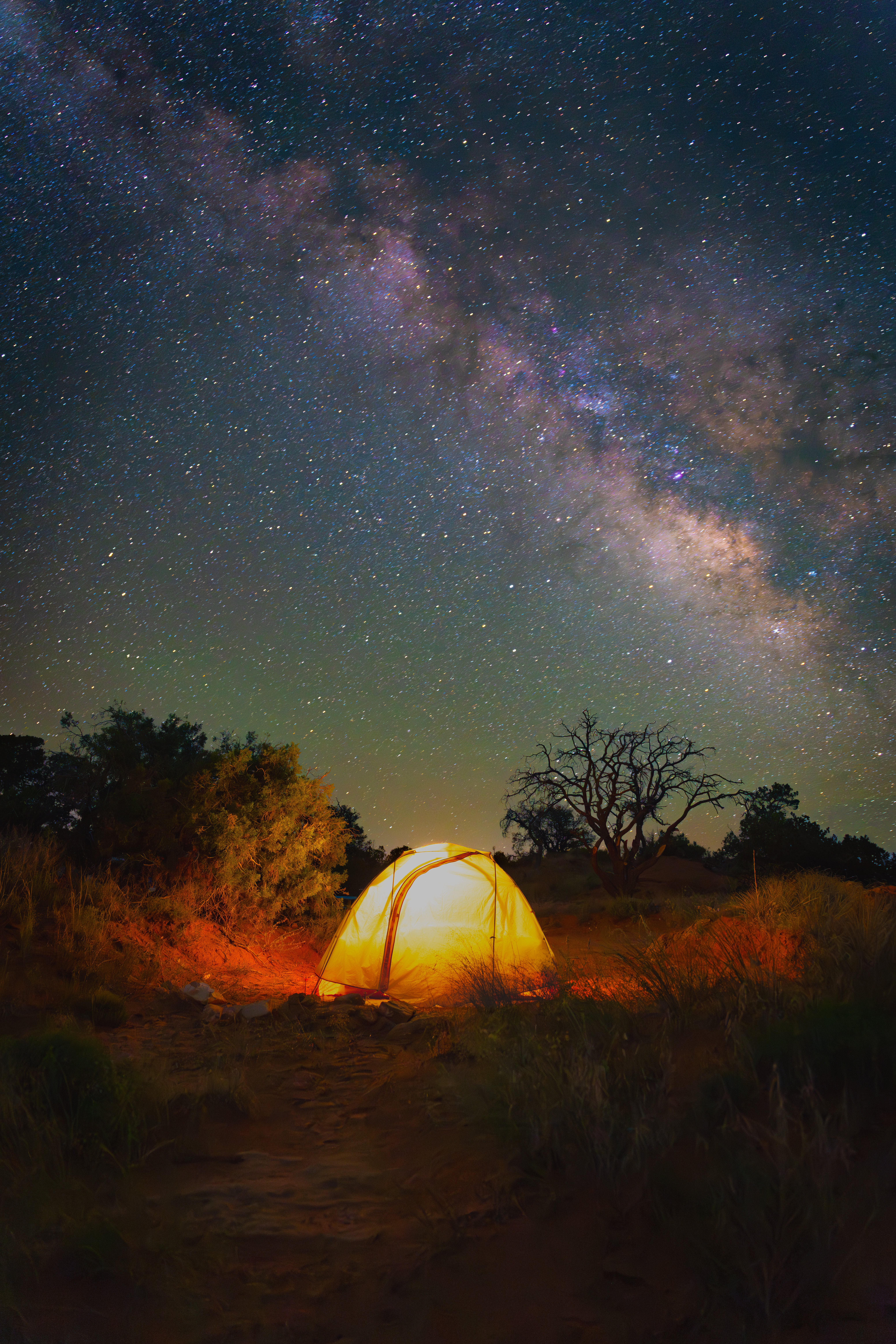 A glowing tent beneath the Milky Way and a star-filled night sky, surrounded by trees and desert vegetation.