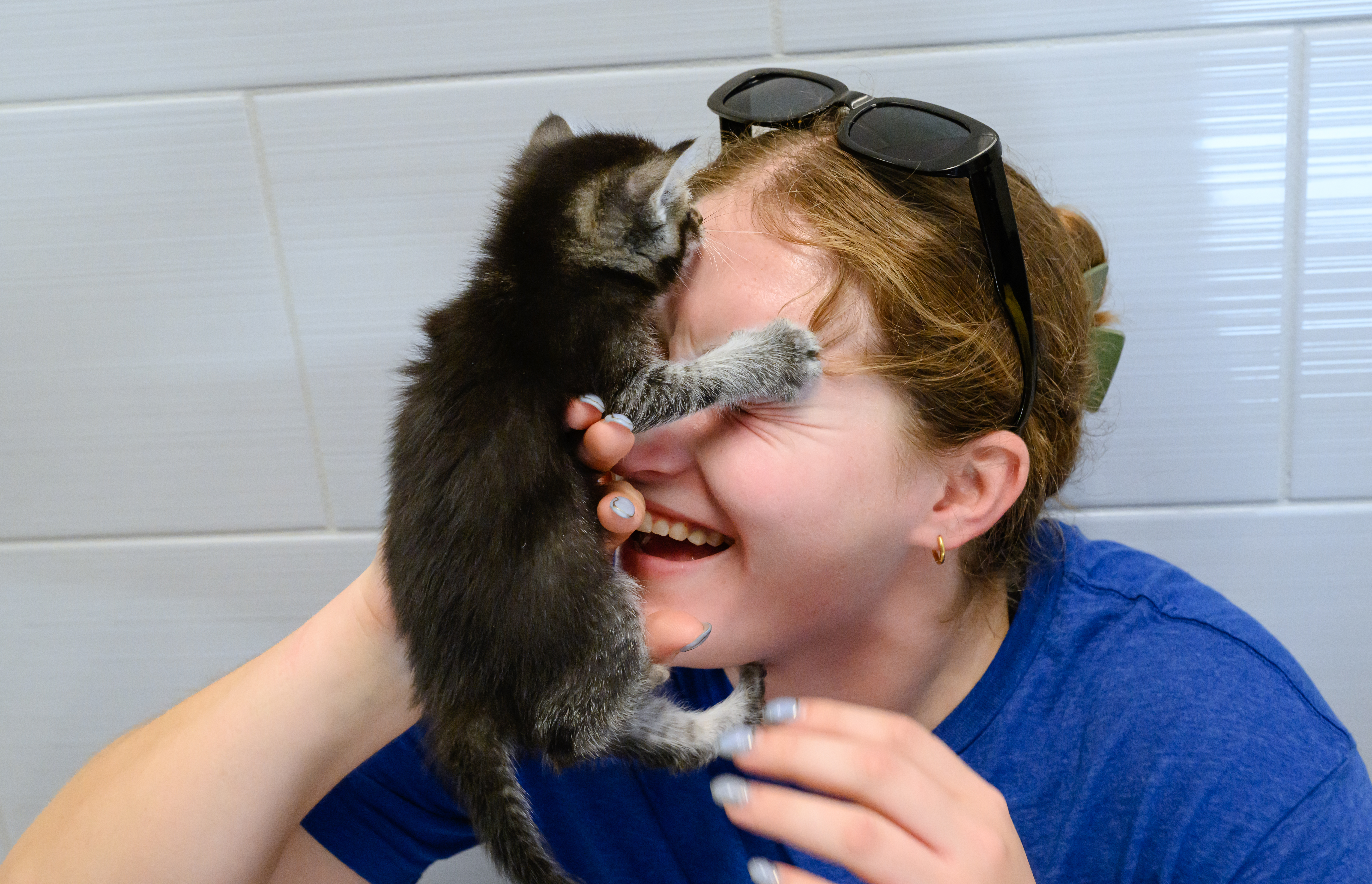 A student laughs as a kitten reaches across her face while she holds it during a volunteer activity.