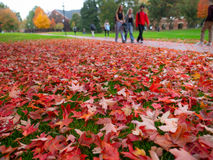 Red maple leaves blanketing a campus lawn, with students walking along a path in the background.