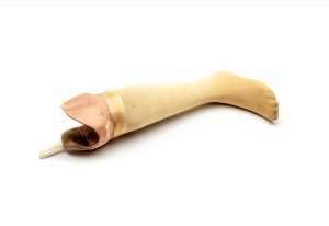 Art exhibit featuring a prosthetic