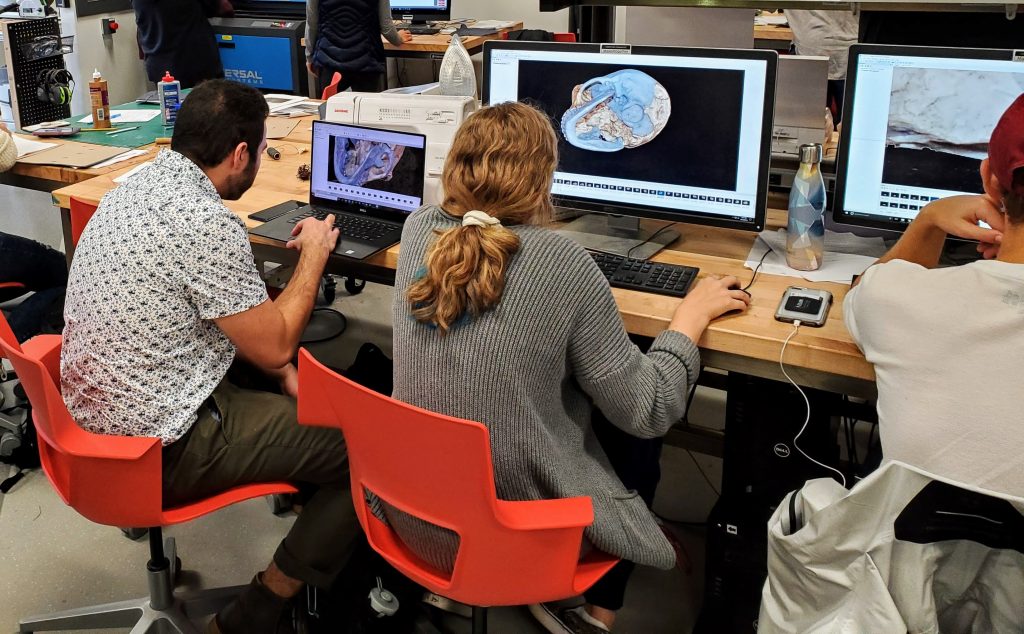 Picture of students with a 3D scan of a skull on the computer.