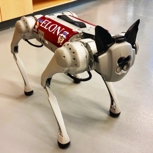 Q the Robot Dog with an Elon sticker on its side